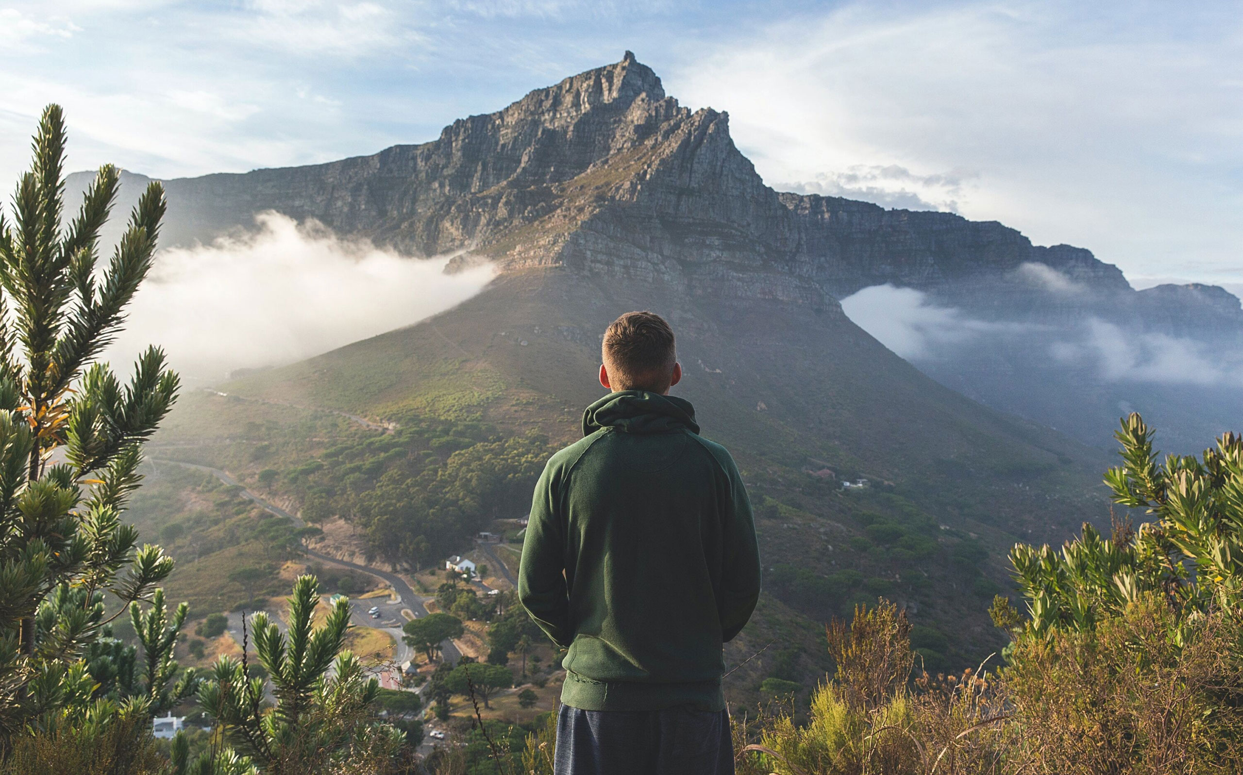 homepage-hero-bg-scaled–2-small